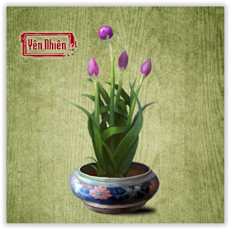 Địa Mạch Tử Chi
