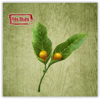 Hoàng Tiên Lộ